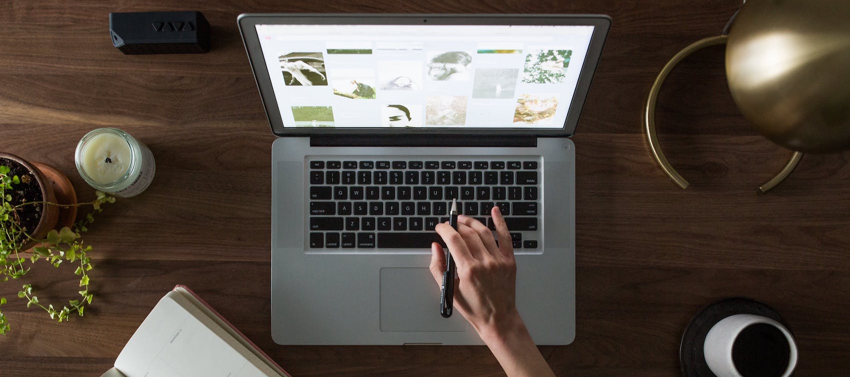 Claudia Z. Fornachon